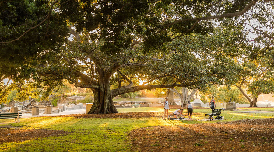 New works at Balmoral for Mosman Council