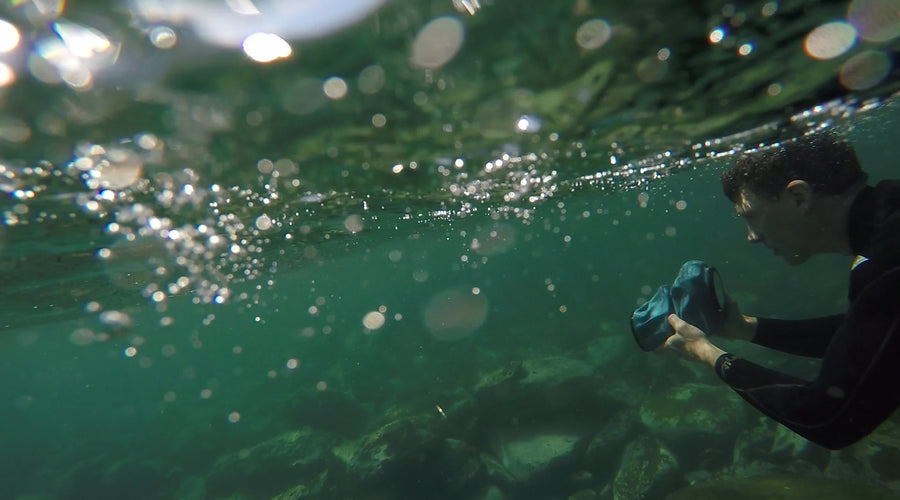Under the Sea