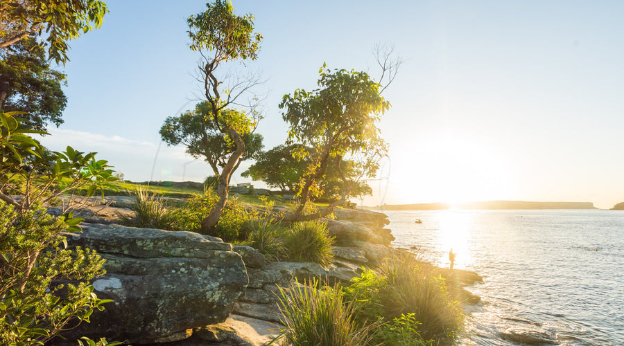 Balmoral Beach