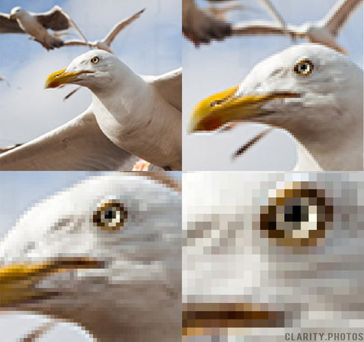 How big can you print phone photos?