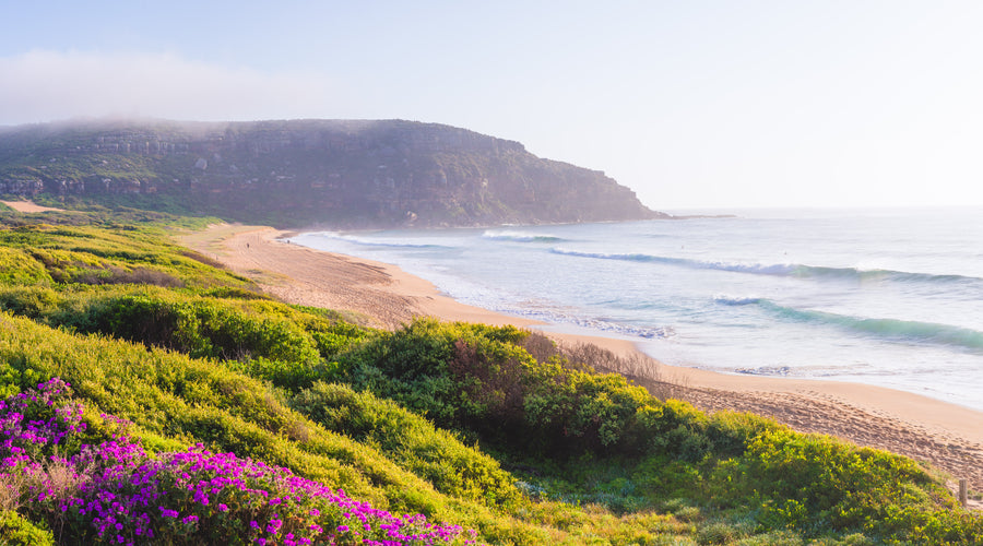 Palm Beach