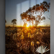 Load image into Gallery viewer, Australia Outback Setting Sun