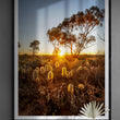 Load image into Gallery viewer, Australia Outback Setting Sun