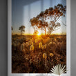Load image into Gallery viewer, Australia Outback Setting Sun