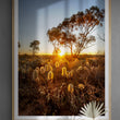 Load image into Gallery viewer, Australia Outback Setting Sun