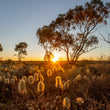 Load image into Gallery viewer, Australia Outback Setting Sun