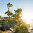 Load image into Gallery viewer, Balmoral Beach Green Island Sunrise