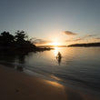 Load image into Gallery viewer, Balmoral Dawn Swimming