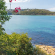 Load image into Gallery viewer, Blue Wyargine Point Balmoral Beach