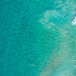 Load image into Gallery viewer, Bondi Clear Swim