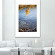 Load image into Gallery viewer, Clifton Gardens Clear Water