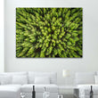 Load image into Gallery viewer, Forest Aerial Abstract Close