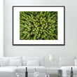 Load image into Gallery viewer, Forest Aerial Abstract Close