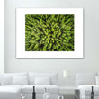 Load image into Gallery viewer, Forest Aerial Abstract Close