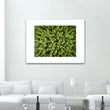 Load image into Gallery viewer, Forest Aerial Abstract Close