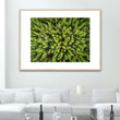 Load image into Gallery viewer, Forest Aerial Abstract Close