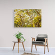 Load image into Gallery viewer, Golden Australian Bushland