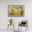 Load image into Gallery viewer, Golden Australian Bushland