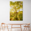 Load image into Gallery viewer, Morning Forest at Reef Beach