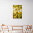 Load image into Gallery viewer, Morning Forest at Reef Beach