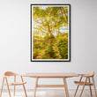 Load image into Gallery viewer, Morning Forest at Reef Beach