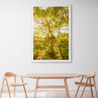 Load image into Gallery viewer, Morning Forest at Reef Beach