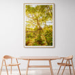 Load image into Gallery viewer, Morning Forest at Reef Beach