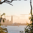 Load image into Gallery viewer, Sydney Bushland City Outlook
