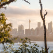 Load image into Gallery viewer, Sydney Harbour Sailing