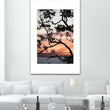 Load image into Gallery viewer, Sydney Nature Silhouette Tall