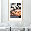 Load image into Gallery viewer, Sydney Nature Silhouette Tall