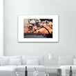 Load image into Gallery viewer, Sydney Nature Silhouette