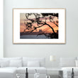 Load image into Gallery viewer, Sydney Nature Silhouette