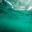 Load image into Gallery viewer, Underwater Surface Reflection