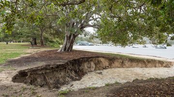 Storm Aftermath at Balmoral Beach