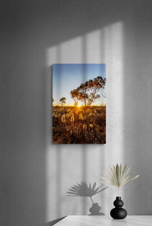 Australia Outback Setting Sun