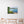 Load image into Gallery viewer, Blue Wyargine Point Balmoral Beach
