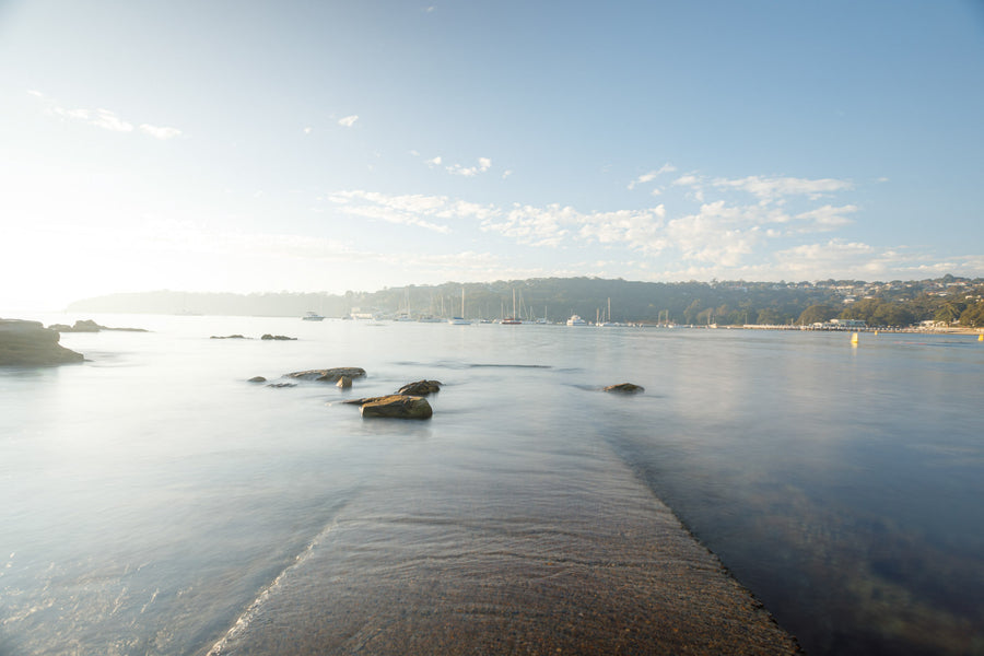 Restoring Ocean