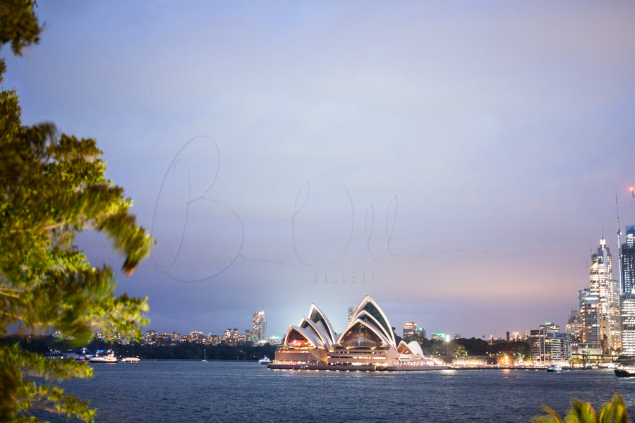 Sydney Opera House Blue Night